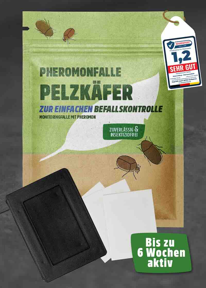 Pelzkäfer Pheromonfalle | Klebefalle