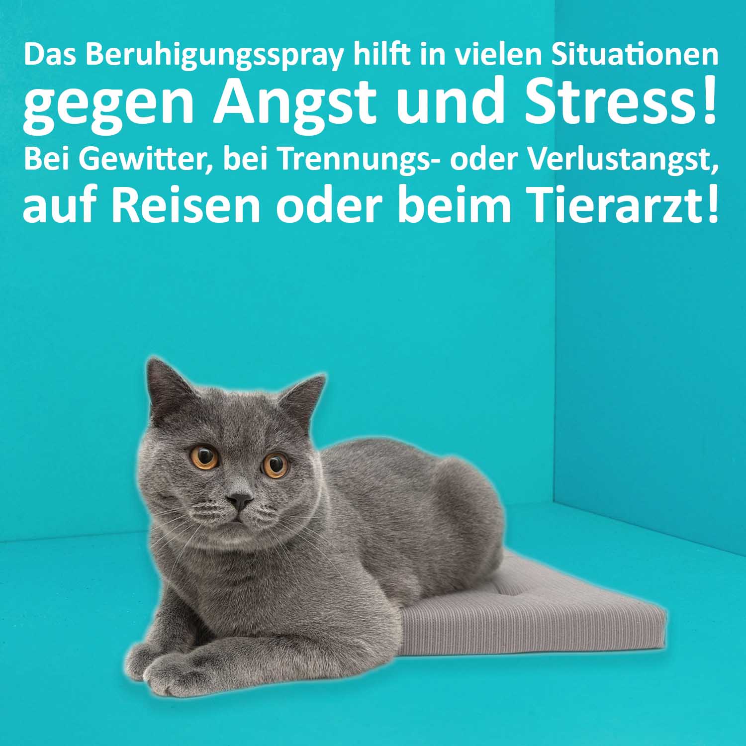 Green Hero Entspannungsspray für Katzen