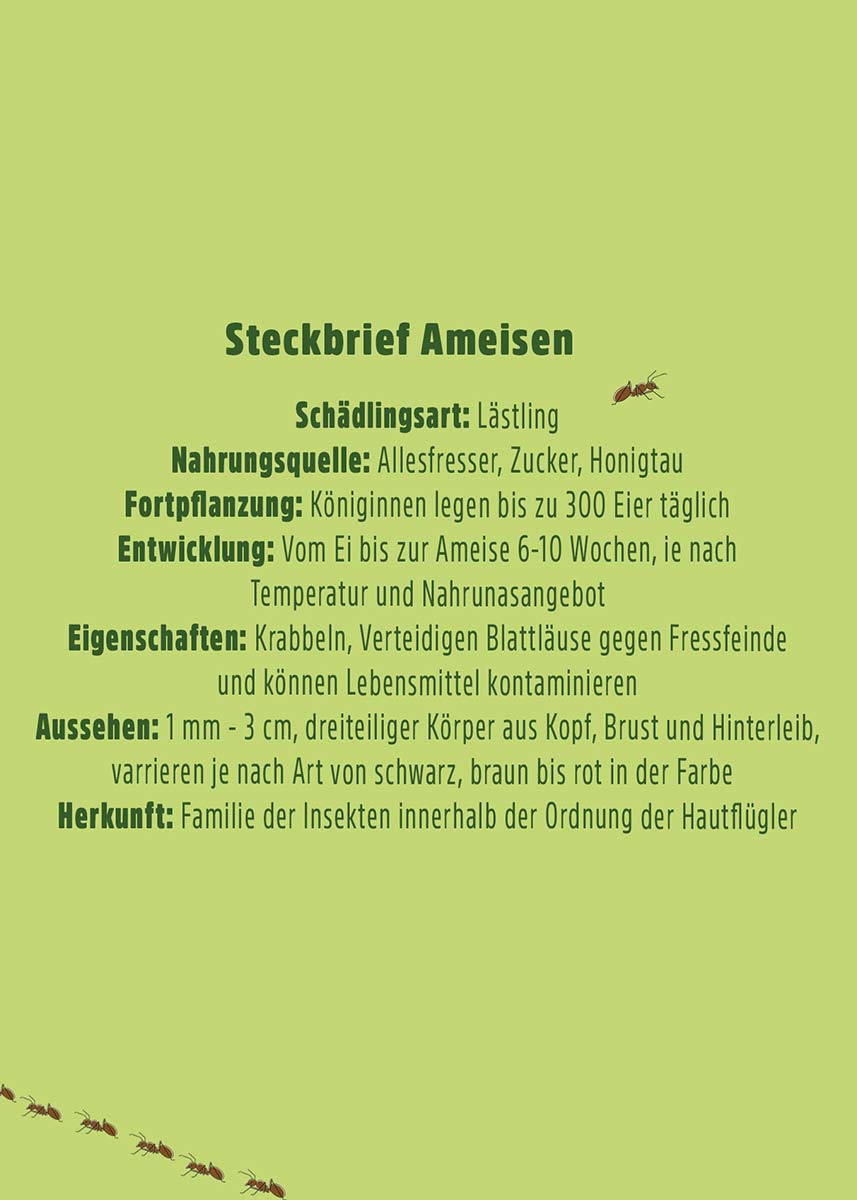 Ameisenköder Gel