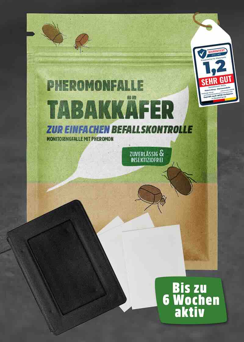 Tabakkäfer Pheromonfalle