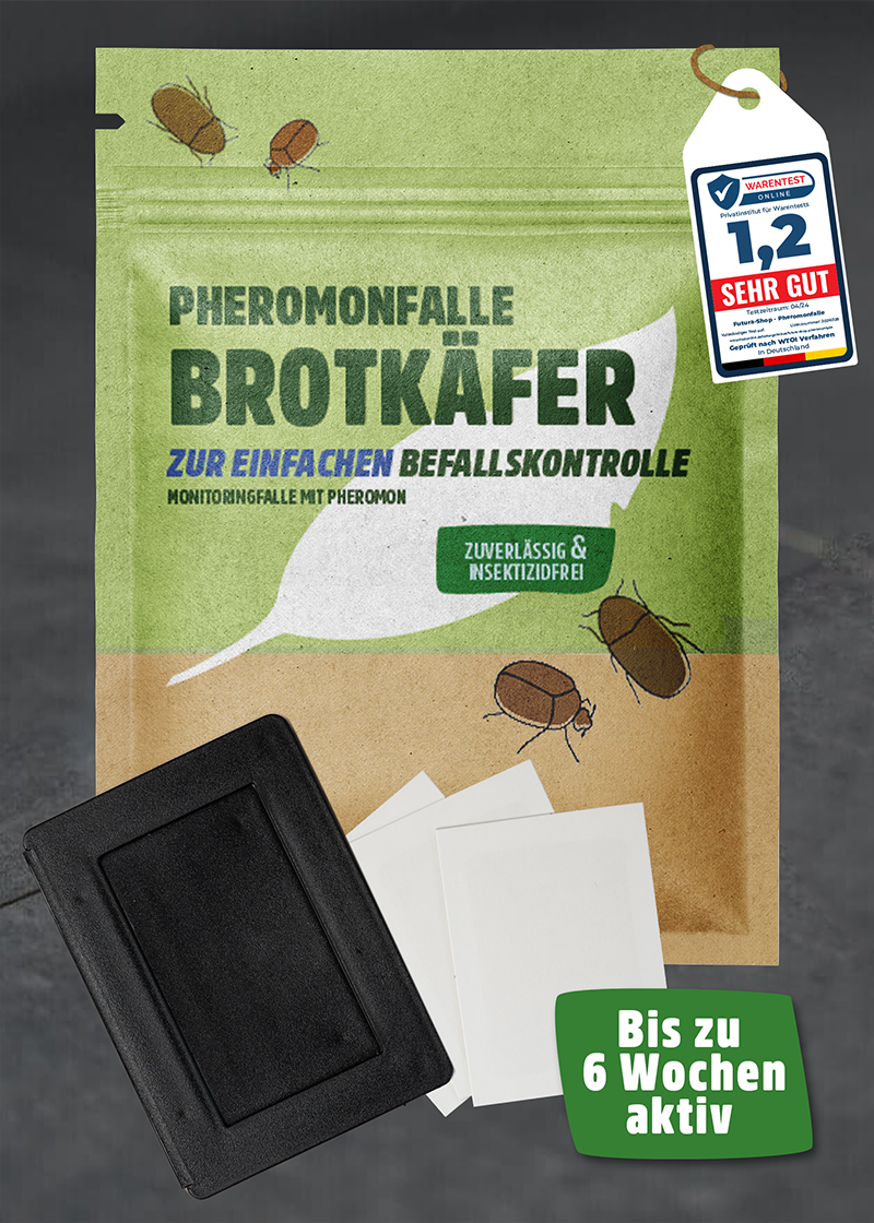 Brotkäfer Pheromonfalle