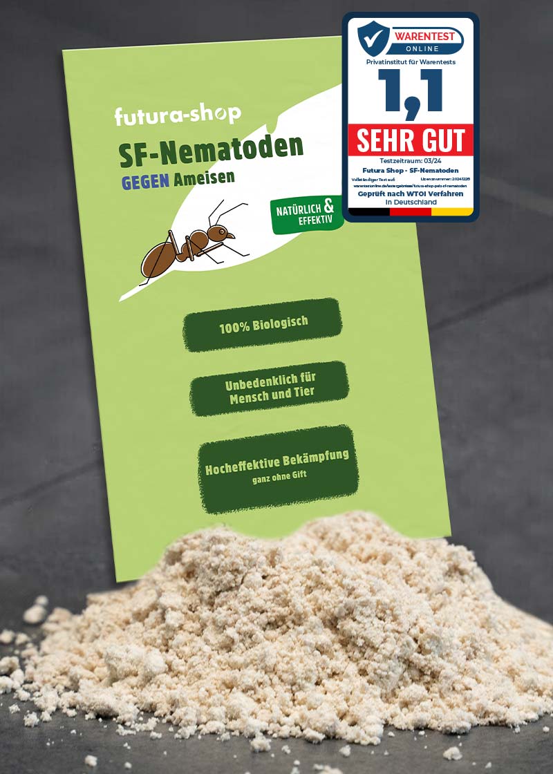 SF Nematoden gegen Ameisen