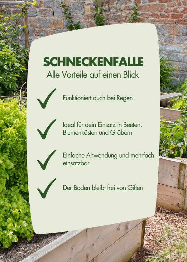 Schneckenfalle | 10 Stück