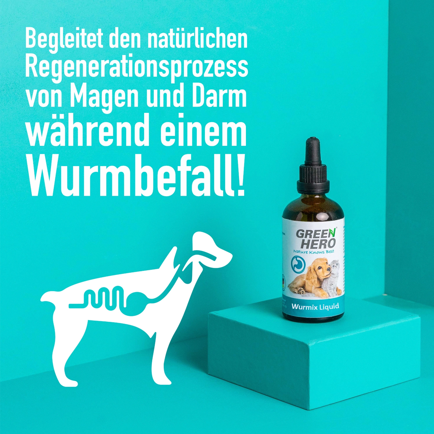 Wurmix Liquid für Hunde und Katzen