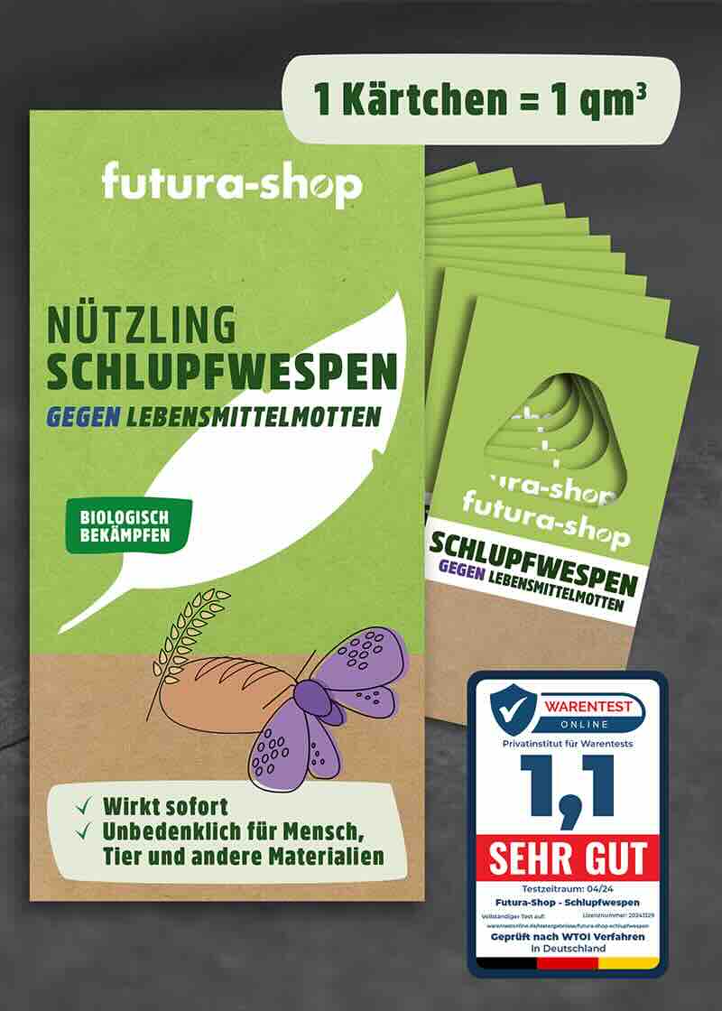 Schlupfwespen gegen Lebensmittelmotten