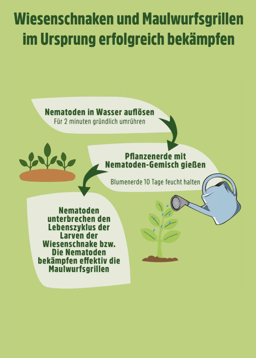 SC Nematoden gegen Wiesenschnake