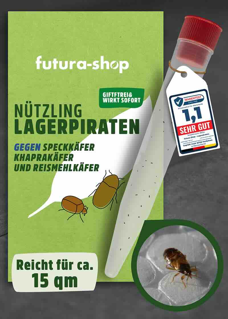 Nützling "Lagerpiraten" gegen Speckkäfer, Khaprakäfer und Reismehlkäfer | biologisch bekämpfen