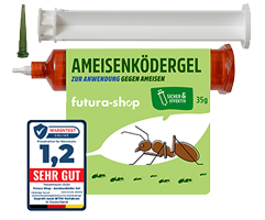 Ameisengel