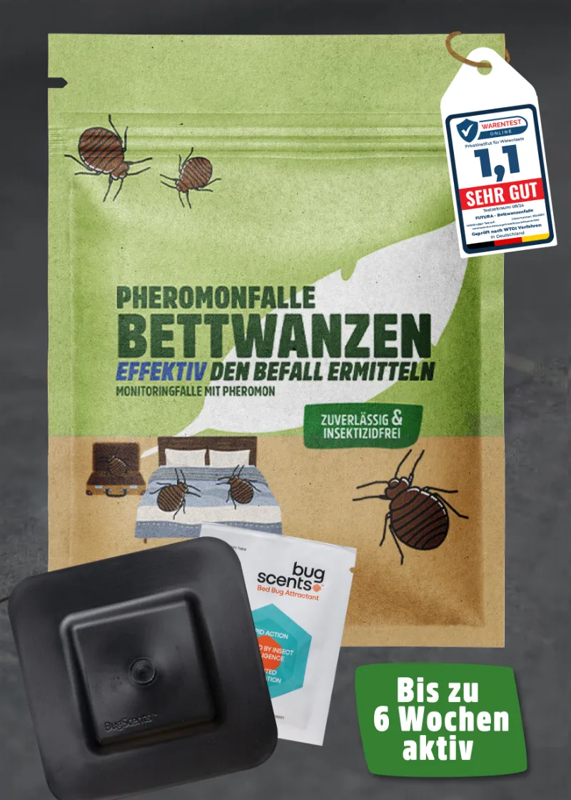 Bettwanzen Falle 