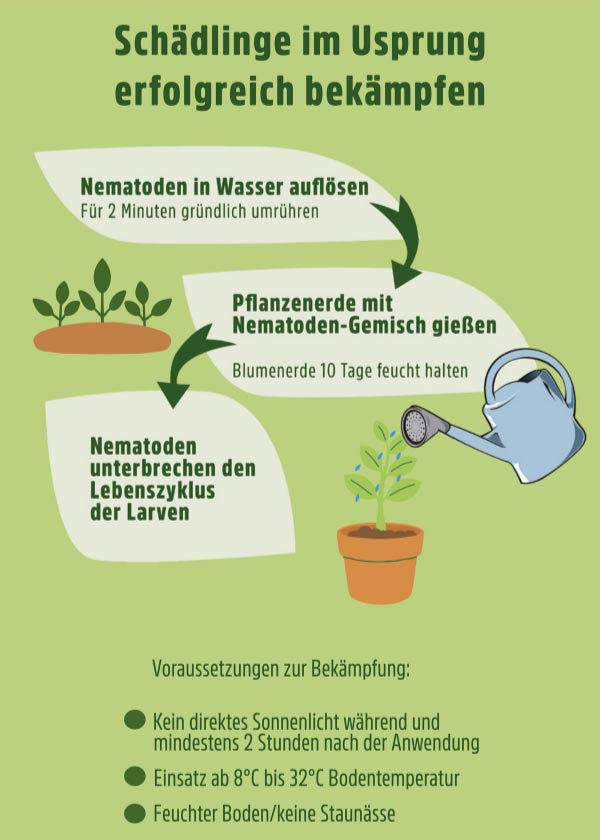 HB Nematoden gegen Maikäfer - 10 Mio. 