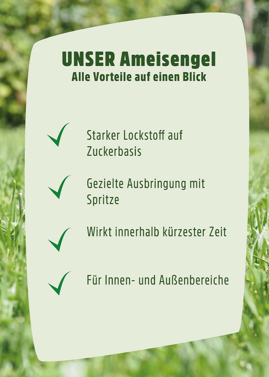 Ameisenköder Gel