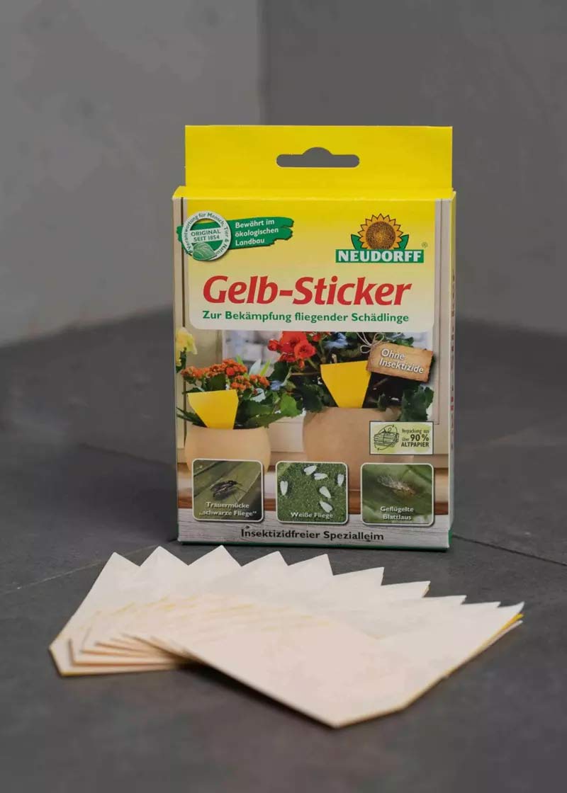 Gelbsticker– Futura-Shop